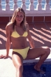 swimsuit0087.jpg (10561 bytes)