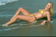 swimsuit0105.jpg (8620 bytes)
