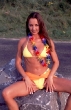 swimsuit0147.jpg (10490 bytes)