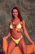 swimsuit0149.jpg (9970 bytes)